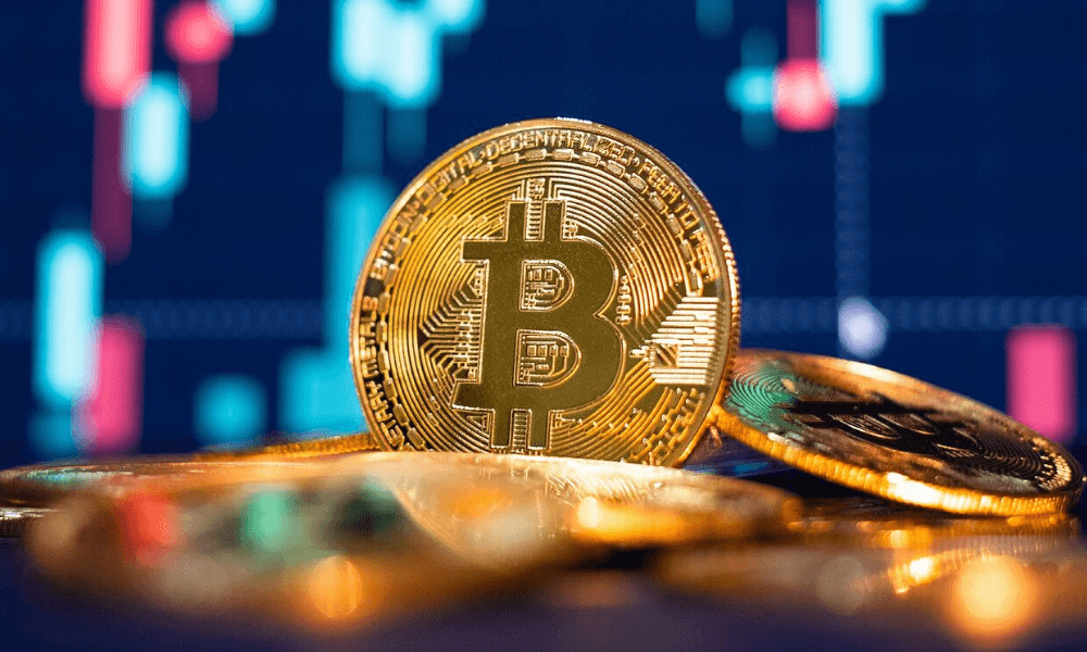 Small-Time Investors Achieve The 1 BTC Dream As Bitcoin Holds $20k Range!